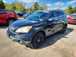 HONDA CR-V EX