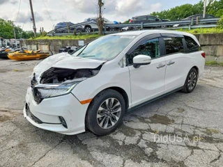HONDA ODYSSEY EXL