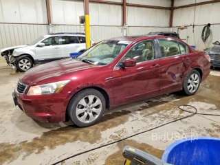 HONDA ACCORD EXL