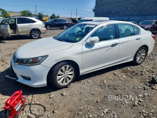HONDA ACCORD EXL