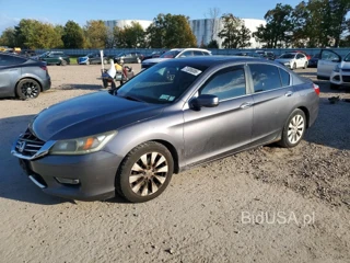 HONDA ACCORD EX