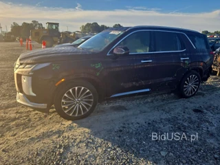 HYUNDAI PALISADE CALLIGRAPHY