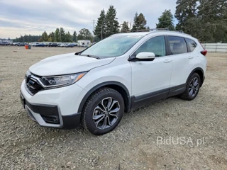 HONDA CR-V EXL
