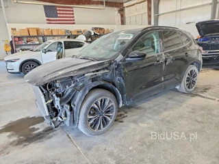 FORD ESCAPE SEL