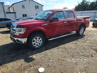 FORD F150 SUPERCREW