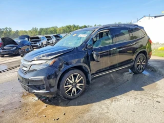 HONDA PILOT ELITE