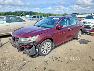 HONDA ACCORD EXL