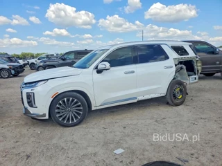 HYUNDAI PALISADE CALLIGRAPHY