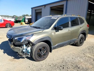 SUBARU FORESTER WILDERNESS