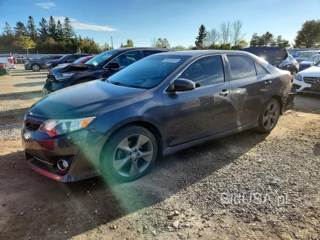 TOYOTA CAMRY SE V6