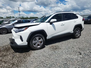 TOYOTA RAV4 HYBRID XLE