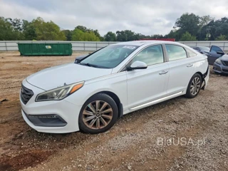 HYUNDAI SONATA SPORT