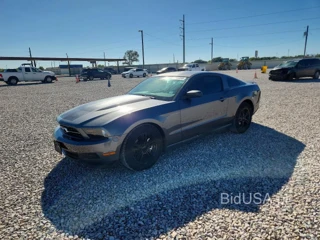 FORD MUSTANG V6 COUPE