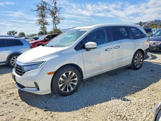 HONDA ODYSSEY EXL