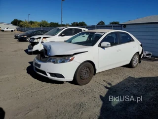 KIA FORTE EX