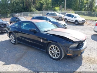 FORD FORD MUSTANG V6 PREMIUM