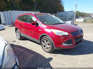 FORD FORD ESCAPE SE