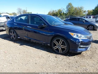 HONDA HONDA ACCORD SPORT