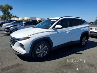 HYUNDAI TUCSON BLUE