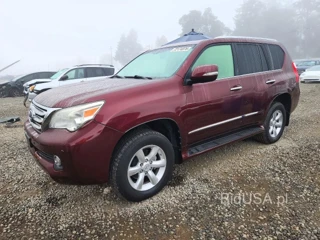 LEXUS GX 460