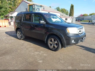 HONDA HONDA PILOT EX