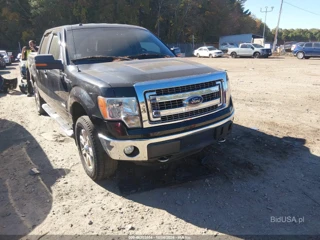 FORD FORD F-150 XLT