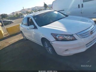 HONDA HONDA ACCORD 3.5 EX-L
