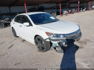HONDA HONDA ACCORD SPORT