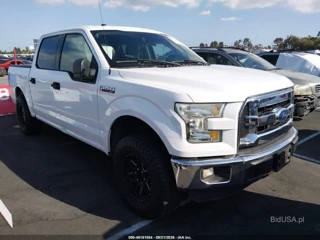 FORD FORD F-150 XLT