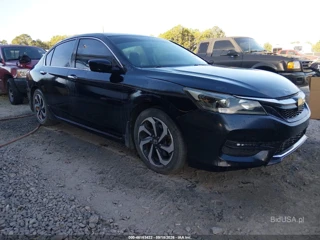 HONDA HONDA ACCORD SPORT