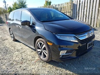 HONDA HONDA ODYSSEY ELITE