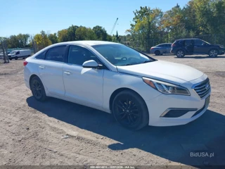 HYUNDAI HYUNDAI SONATA SE