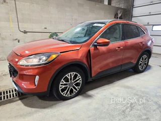 FORD ESCAPE SEL