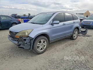HONDA CR-V EXL