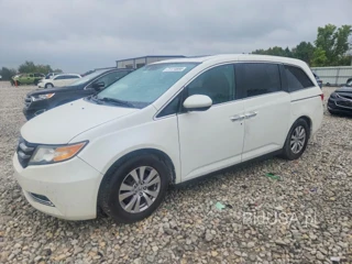 HONDA ODYSSEY EXL