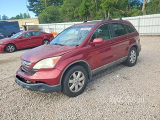 HONDA CR-V EXL