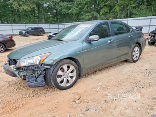 HONDA ACCORD EXL