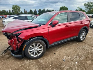 HONDA CR-V EXL