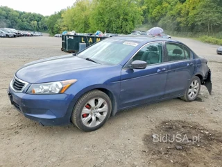 HONDA ACCORD EXL