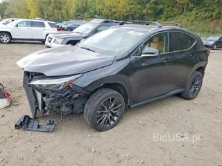 LEXUS NX 350 BASE