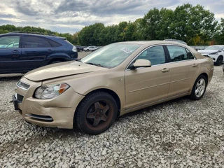 CHEVROLET MALIBU 1LT