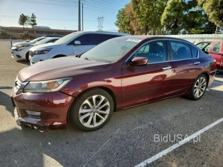 HONDA ACCORD SPORT