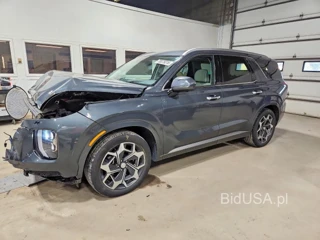 HYUNDAI PALISADE CALLIGRAPHY
