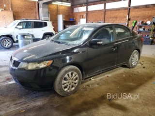 KIA FORTE EX