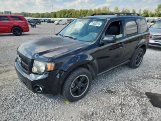 FORD ESCAPE XLT
