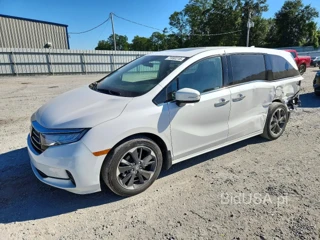 HONDA ODYSSEY ELITE