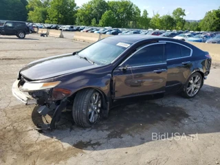 ACURA TL