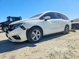 HONDA ODYSSEY EXL