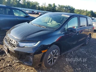 HONDA ODYSSEY EXL