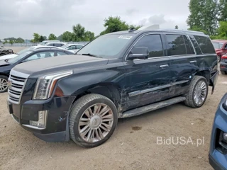 CADILLAC ESCALADE PLATINUM